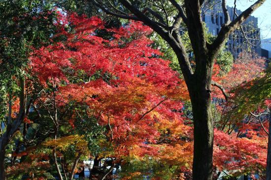 Hibiyapark